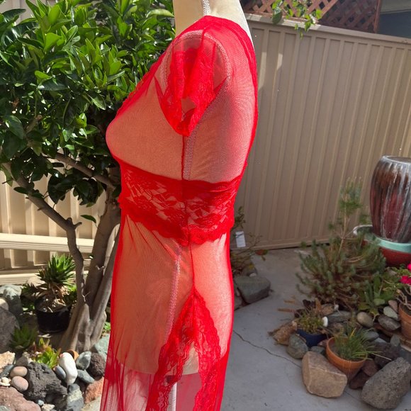 Sheer midi/maxi negligee/dress/cover up - Picture 6 of 10